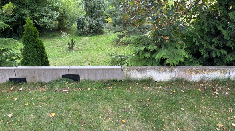 Gartenmauer links nach der Reinigung, rechts vor der Reinigung